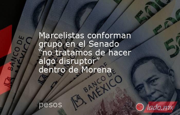 Marcelistas conforman grupo en el Senado “no tratamos de hacer algo disruptor” dentro de Morena. Noticias en tiempo real