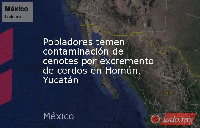 Pobladores temen contaminación de cenotes por excremento de cerdos en Homún, Yucatán. Noticias en tiempo real