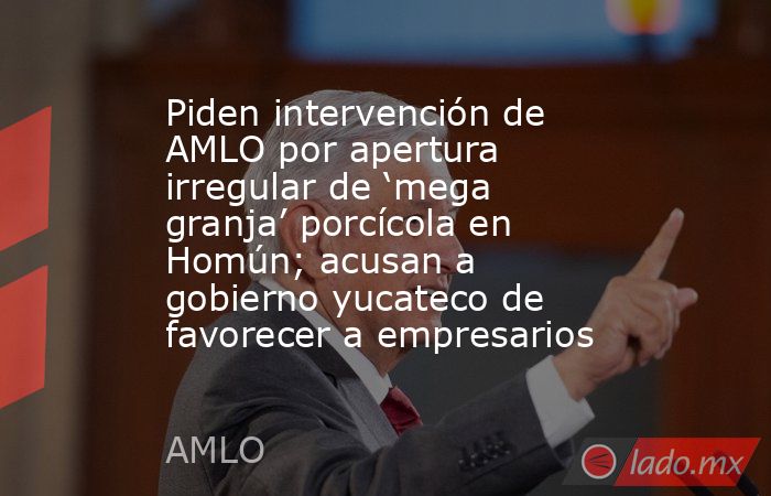 Piden intervención de AMLO por apertura irregular de ‘mega granja’ porcícola en Homún; acusan a gobierno yucateco de favorecer a empresarios. Noticias en tiempo real