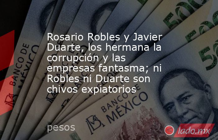 Rosario Robles y Javier Duarte, los hermana la corrupción y las empresas fantasma; ni Robles ni Duarte son chivos expiatorios. Noticias en tiempo real