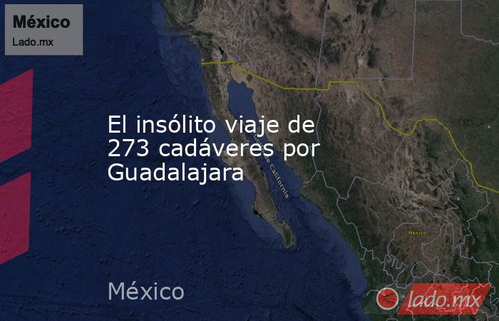 El insólito viaje de 273 cadáveres por Guadalajara. Noticias en tiempo real