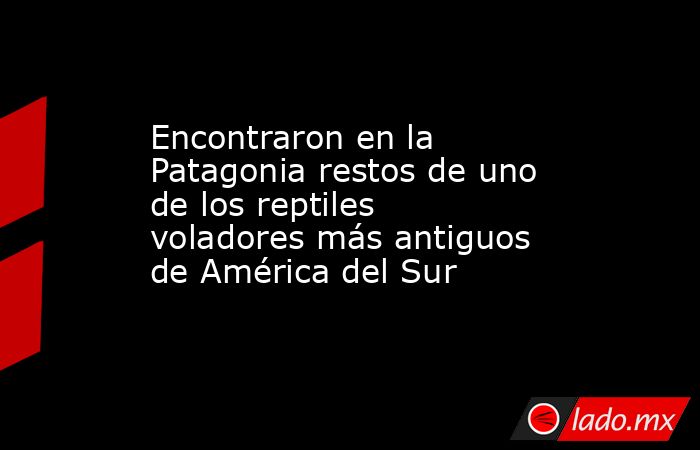 Encontraron en la Patagonia restos de uno de los reptiles voladores más antiguos de América del Sur. Noticias en tiempo real