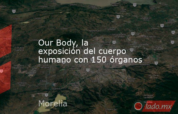 Our Body, la exposición del cuerpo humano con 150 órganos. Noticias en tiempo real