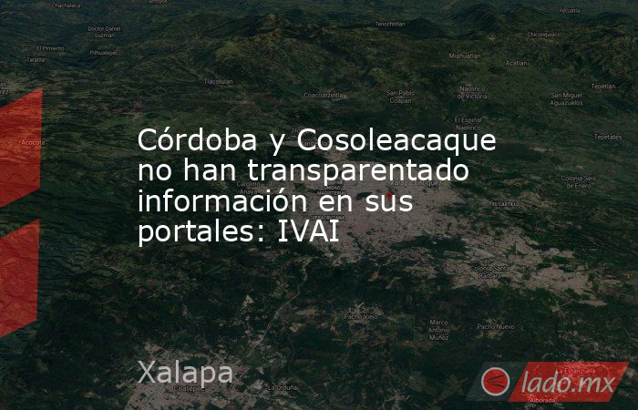 Córdoba y Cosoleacaque no han transparentado información en sus portales: IVAI. Noticias en tiempo real