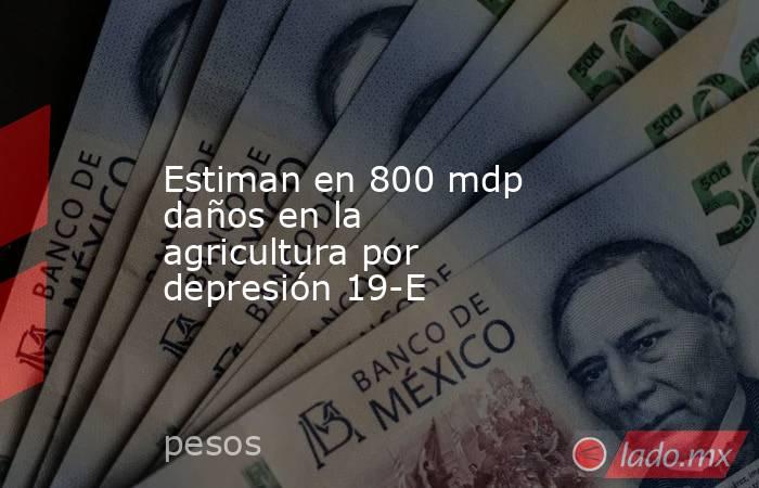 Estiman en 800 mdp daños en la agricultura por depresión 19-E. Noticias en tiempo real