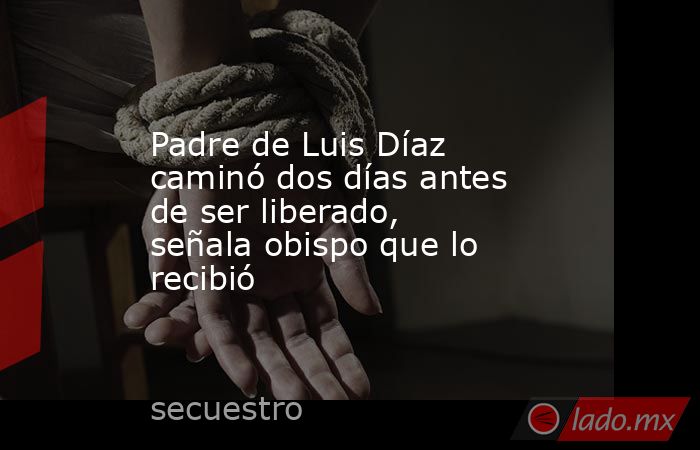 Padre de Luis Díaz caminó dos días antes de ser liberado, señala obispo que lo recibió. Noticias en tiempo real