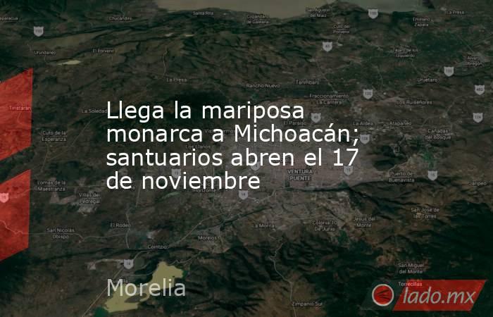 Llega la mariposa monarca a Michoacán; santuarios abren el 17 de noviembre. Noticias en tiempo real