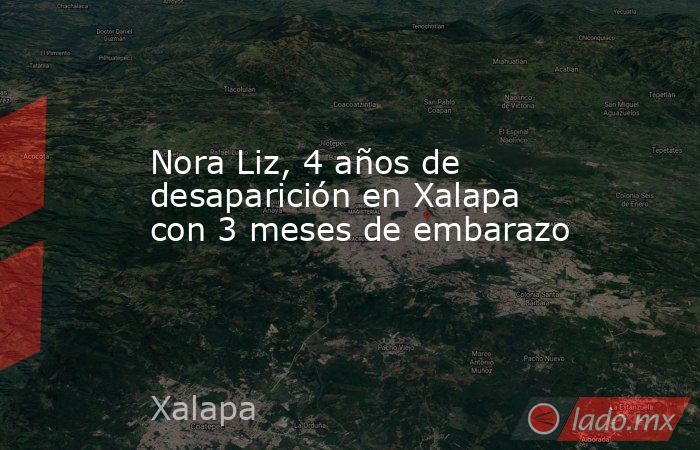 Nora Liz, 4 años de desaparición en Xalapa con 3 meses de embarazo. Noticias en tiempo real