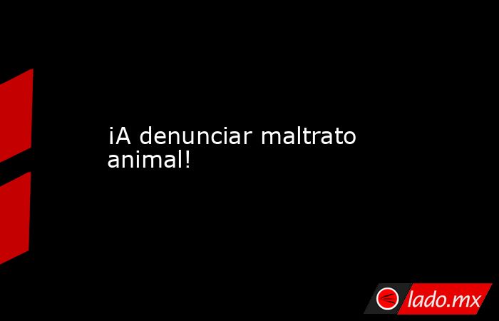 ¡A denunciar maltrato animal!. Noticias en tiempo real