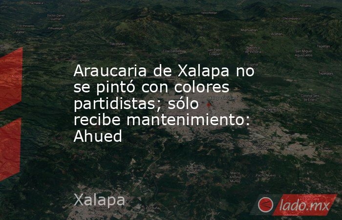 Araucaria de Xalapa no se pintó con colores partidistas; sólo recibe mantenimiento: Ahued. Noticias en tiempo real