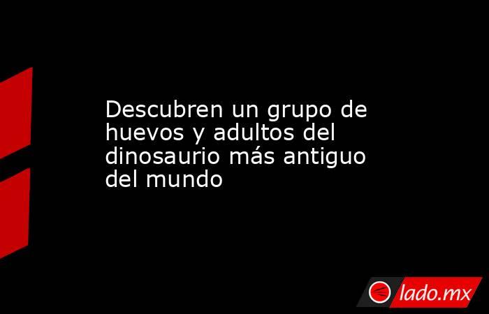 Descubren un grupo de huevos y adultos del dinosaurio más antiguo del mundo. Noticias en tiempo real