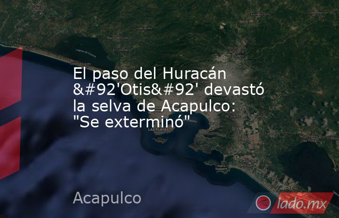 El paso del Huracán \'Otis\' devastó la selva de Acapulco: 