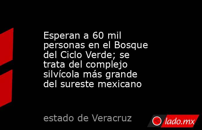 Esperan a 60 mil personas en el Bosque del Ciclo Verde; se trata del complejo silvícola más grande del sureste mexicano. Noticias en tiempo real