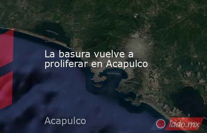 La basura vuelve a proliferar en Acapulco. Noticias en tiempo real