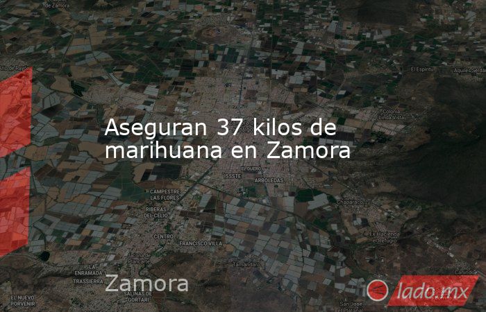 Aseguran 37 kilos de marihuana en Zamora. Noticias en tiempo real