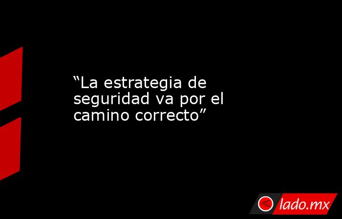 “La estrategia de seguridad va por el camino correcto”. Noticias en tiempo real