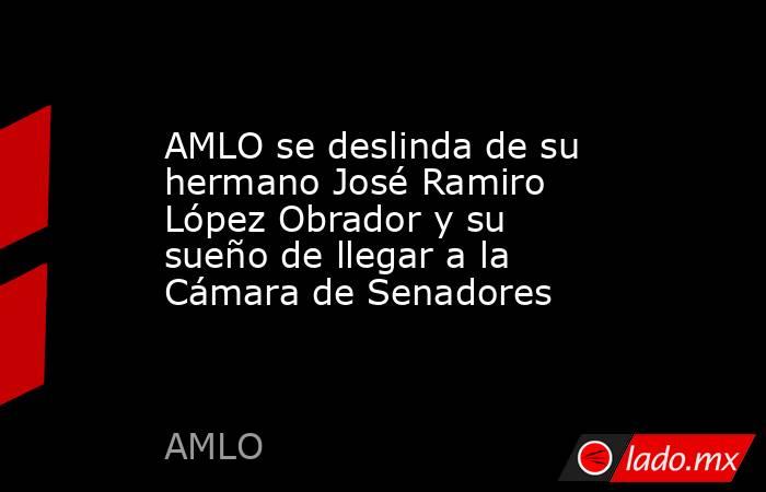 AMLO se deslinda de su hermano José Ramiro López Obrador y su sueño de llegar a la Cámara de Senadores. Noticias en tiempo real