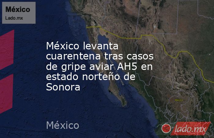 México levanta cuarentena tras casos de gripe aviar AH5 en estado norteño de Sonora. Noticias en tiempo real