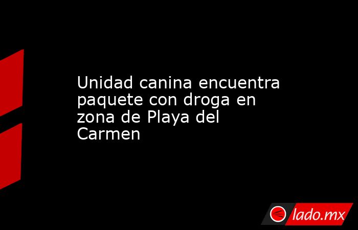 Unidad canina encuentra paquete con droga en zona de Playa del Carmen. Noticias en tiempo real