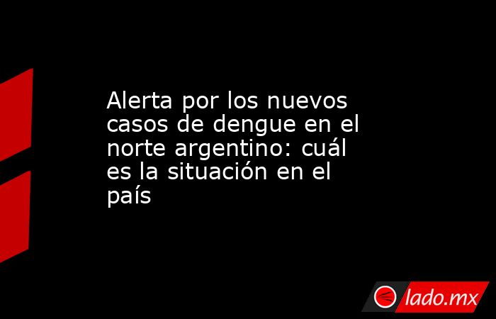Alerta por los nuevos casos de dengue en el norte argentino: cuál es la situación en el país. Noticias en tiempo real