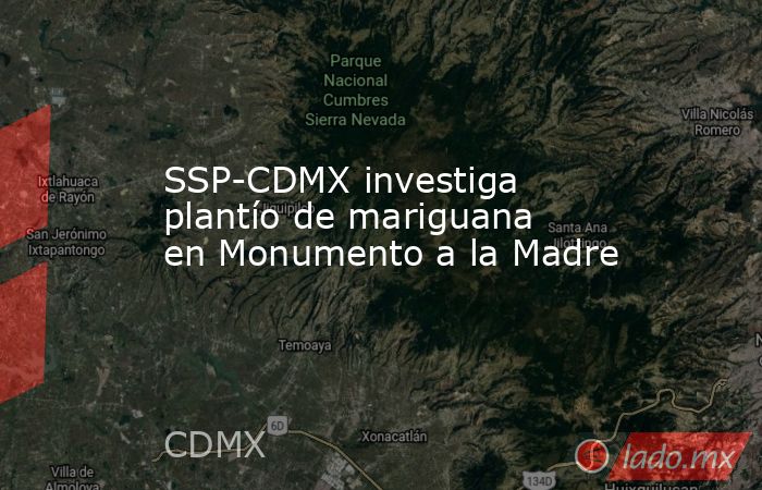 SSP-CDMX investiga plantío de mariguana en Monumento a la Madre. Noticias en tiempo real