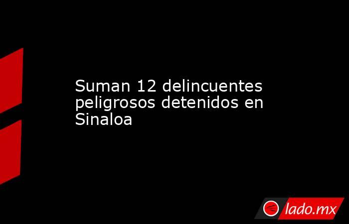 Suman 12 delincuentes peligrosos detenidos en Sinaloa
. Noticias en tiempo real