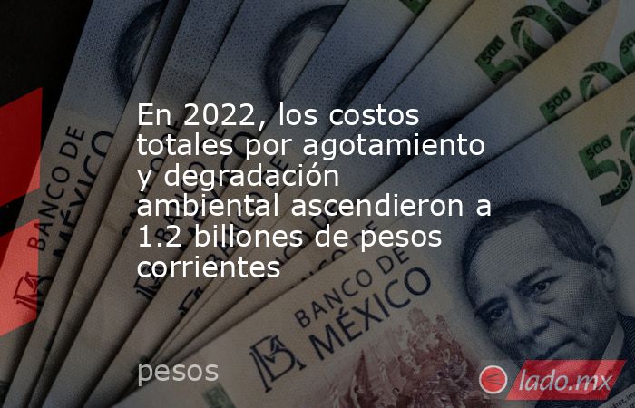 En 2022, los costos totales por agotamiento y degradación ambiental ascendieron a 1.2 billones de pesos corrientes. Noticias en tiempo real