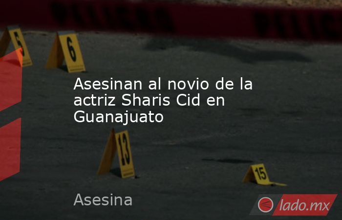 Asesinan al novio de la actriz Sharis Cid en Guanajuato. Noticias en tiempo real
