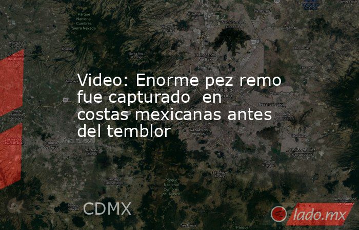 Video: Enorme pez remo fue capturado  en costas mexicanas antes del temblor. Noticias en tiempo real