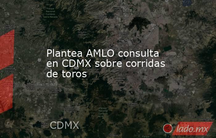 Plantea AMLO consulta en CDMX sobre corridas de toros. Noticias en tiempo real