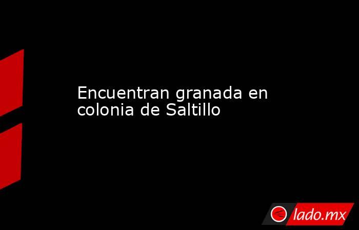Encuentran granada en colonia de Saltillo
. Noticias en tiempo real