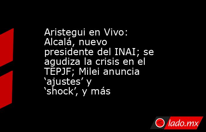 Aristegui en Vivo: Alcalá, nuevo presidente del INAI; se agudiza la crisis en el TEPJF; Milei anuncia ‘ajustes’ y ‘shock’, y más. Noticias en tiempo real