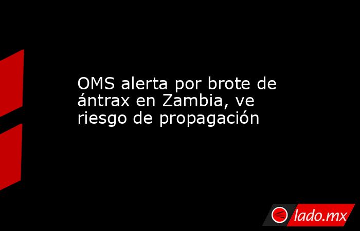 OMS alerta por brote de ántrax en Zambia, ve riesgo de propagación. Noticias en tiempo real
