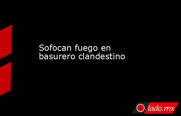 Sofocan fuego en basurero clandestino. Noticias en tiempo real