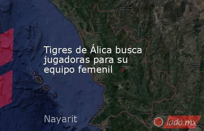 Tigres de Álica busca jugadoras para su equipo femenil. Noticias en tiempo real