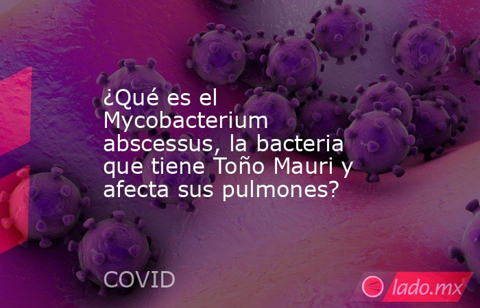 ¿Qué es el Mycobacterium abscessus, la bacteria que tiene Toño Mauri y afecta sus pulmones?. Noticias en tiempo real
