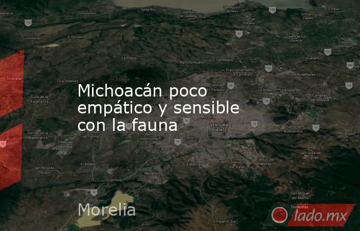 Michoacán poco empático y sensible con la fauna. Noticias en tiempo real