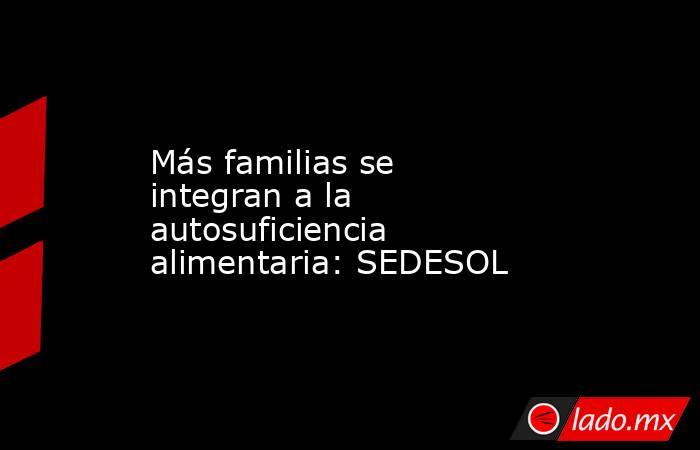 Más familias se integran a la autosuficiencia alimentaria: SEDESOL. Noticias en tiempo real