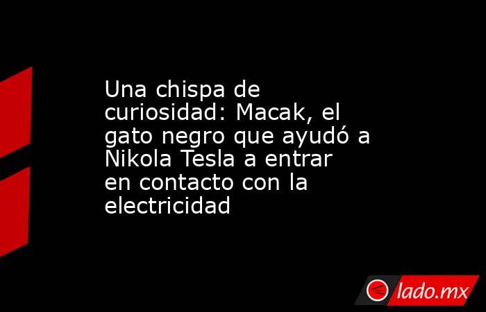 Una chispa de curiosidad: Macak, el gato negro que ayudó a Nikola Tesla a entrar en contacto con la electricidad. Noticias en tiempo real