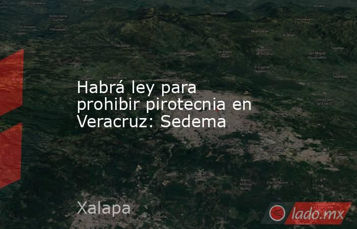 Habrá ley para prohibir pirotecnia en Veracruz: Sedema. Noticias en tiempo real