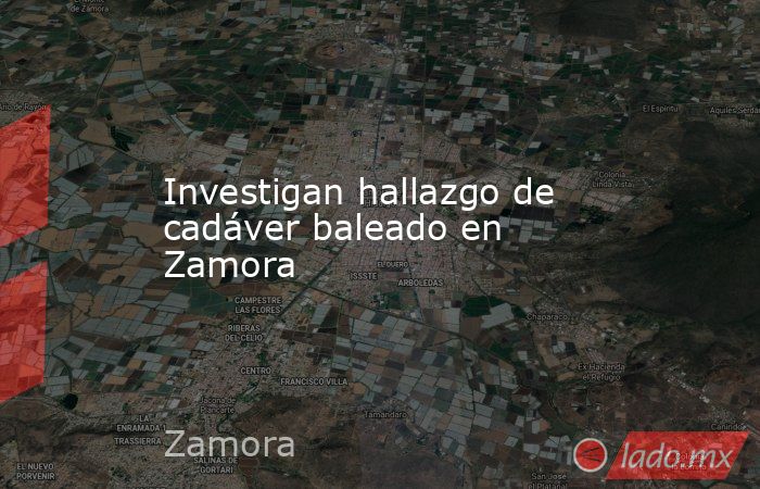 Investigan hallazgo de cadáver baleado en Zamora. Noticias en tiempo real