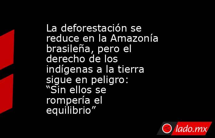 La deforestación se reduce en la Amazonía brasileña, pero el derecho de los indígenas a la tierra sigue en peligro: “Sin ellos se rompería el equilibrio”. Noticias en tiempo real