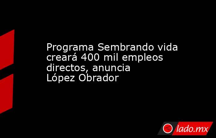 Programa Sembrando vida creará 400 mil empleos directos, anuncia López Obrador. Noticias en tiempo real