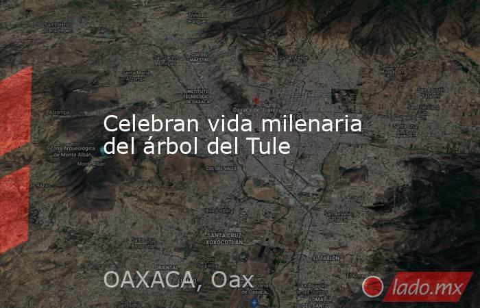Celebran vida milenaria del árbol del Tule. Noticias en tiempo real
