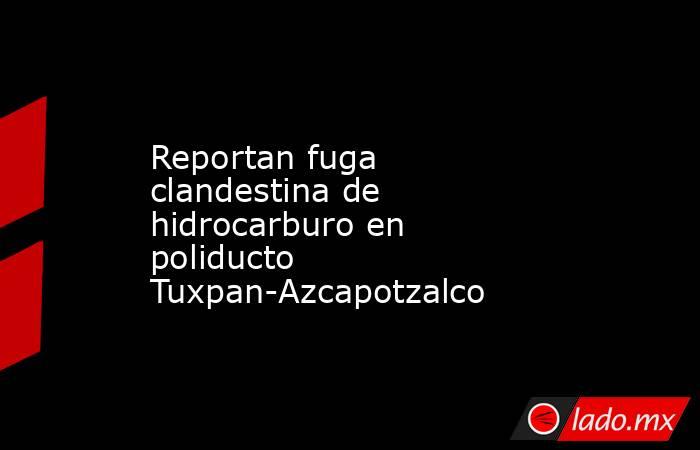 Reportan fuga clandestina de hidrocarburo en poliducto Tuxpan-Azcapotzalco. Noticias en tiempo real