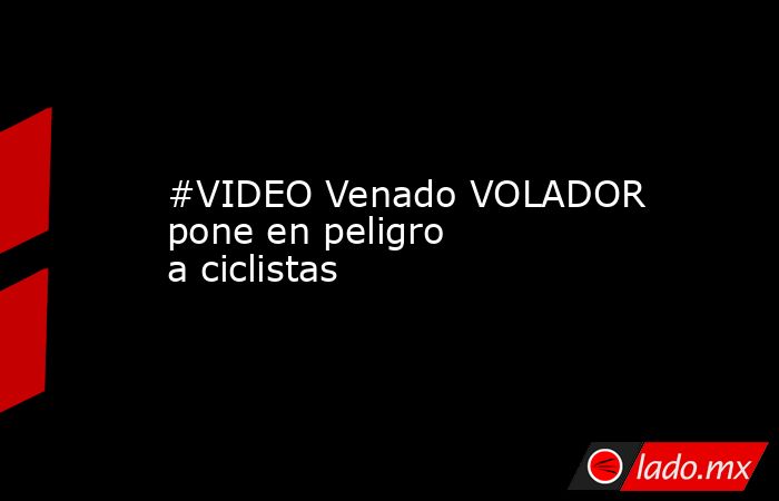 #VIDEO Venado VOLADOR pone en peligro a ciclistas
. Noticias en tiempo real