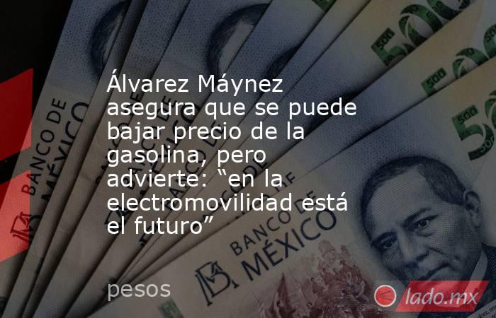 Álvarez Máynez asegura que se puede bajar precio de la gasolina, pero advierte: “en la electromovilidad está el futuro”. Noticias en tiempo real