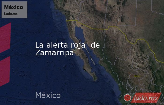 La alerta roja  de Zamarripa. Noticias en tiempo real