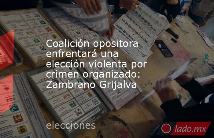 Coalición opositora enfrentará una elección violenta por crimen organizado: Zambrano Grijalva. Noticias en tiempo real