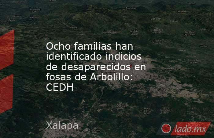 Ocho familias han identificado indicios de desaparecidos en fosas de Arbolillo: CEDH. Noticias en tiempo real